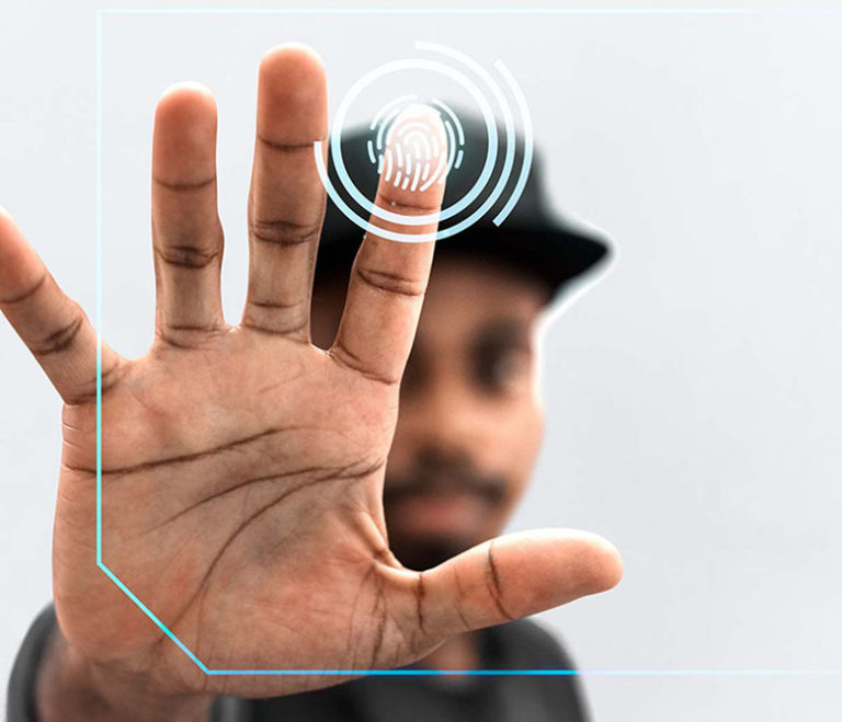 Identification scanning system